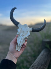 Load image into Gallery viewer, Resin Bull Skull
